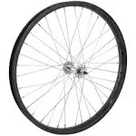 Wheel Master 20in Juvenile W/M Steel Front B/O 5/16x100mm Rim Brake Clincher