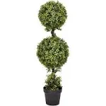 Vickerman 3ft Boxwood Double Ball in Pot (UV)