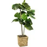 Designs by Lauren Artificial Fiddle Leaf  Fig Tree