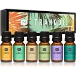 P&j Trading Fragrance Oil | Cozy Home Set of 6 - Scented Oil for Soap Making Diffusers Candle Making Lotions Haircare Slime and Home Fragrance