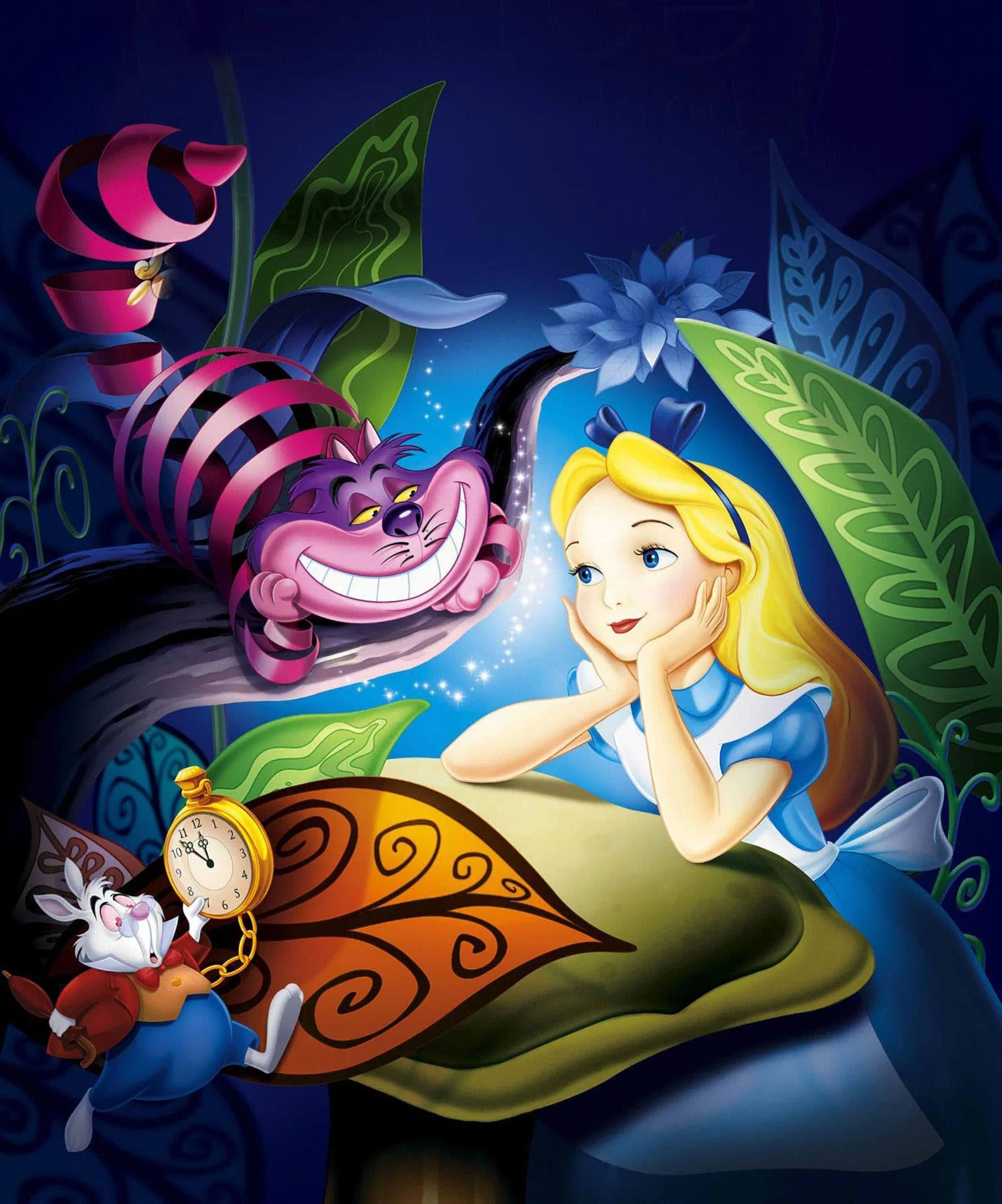 SXSJEIOU Diamond Painting Kits - Alice in Wonderland 5D Diamond Art for Adults Full Drill Round Crystal Pictures Home Wall Art (12" X 16")