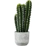 Vickerman 17" Artificial Green Cactus Plant, Plastic