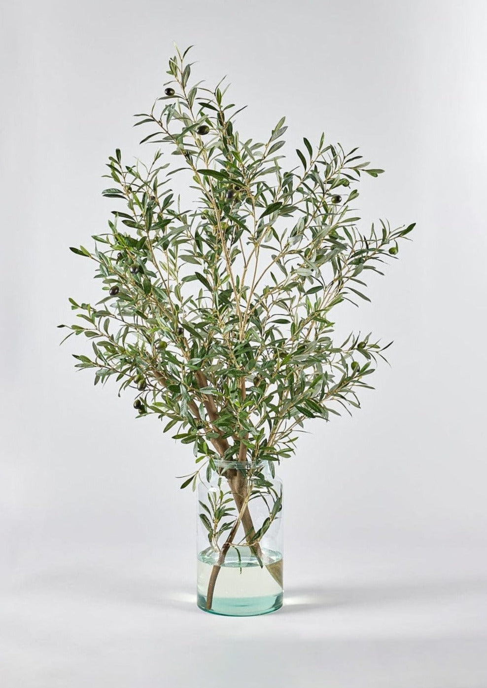 49" Hx37 W Olive Tree Branch Silk Arrangement w/Glass Vase -2 Tone Green