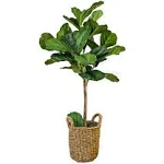 BESAMENATURE Artificial Fiddle Leaf Fig Tree/Faux Ficus Lyrata for Home Office Decoration, 30.5" Tall, with Cotton Rope Basket