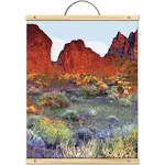 Artist's Loft Desert Paint-by-Number Kit Necessities