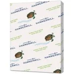 Hammermill Colored Paper, 20 lb Green Printer Paper, 8.5 x 11- 1 Ream (500 Sheets) - Made in the USA, Pastel Paper, 103366R