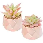 Lita Artificial Succulent Plants,Fake Succulents Small Plants in Pink Ceramic Potted for Indoor Decor Office Room Desk Decoration 2 Pots Valentine's