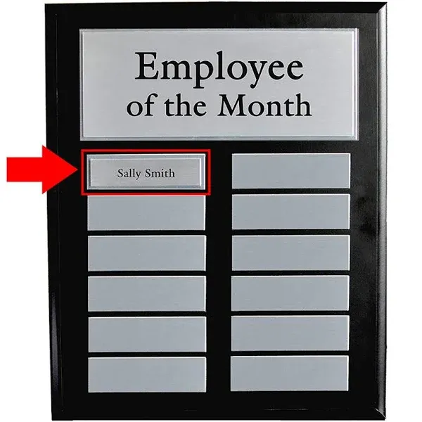 Employee of The Month Award - Perpetual Employee of The Month Plaque - 11" x 13 ...