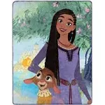 Northwest Disney Wish Silk Touch Throw Blanket, 46 x 60 inches, Friendship