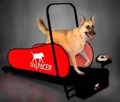 dogPACER Minipacer Treadmill