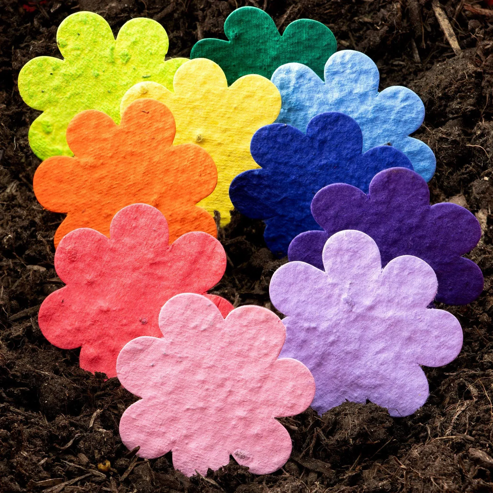 Bloomin Seed Paper Shapes Packs - Flower - 100 Per Pack -... 