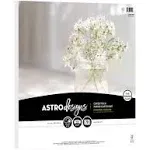 Astrodesigns Crafting Cardstock, 12" x 12", 65 lb/176 gsm, Bright White, 70 Sheets (91522)