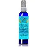 Mystic Angel Energy Shield Palo Santo & White Sage Smudge Spray (4 oz.) For Energy Clearing & Protection - Pack of 1