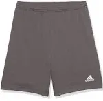 Adidas Youth Entrada 22 Soccer Shorts, Team Grey Four / L