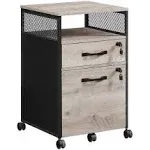 VASAGLE File Cabinet with Lock Filing Cabinet with 2 Storage Drawers