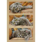 Max The Cat Counted Cross Stitch Kit 10&#034;X15&#034; 14 Count