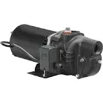 Wayne  Cast Iron  Jet Pump  1/2 hp 384 gph 115/230 volts