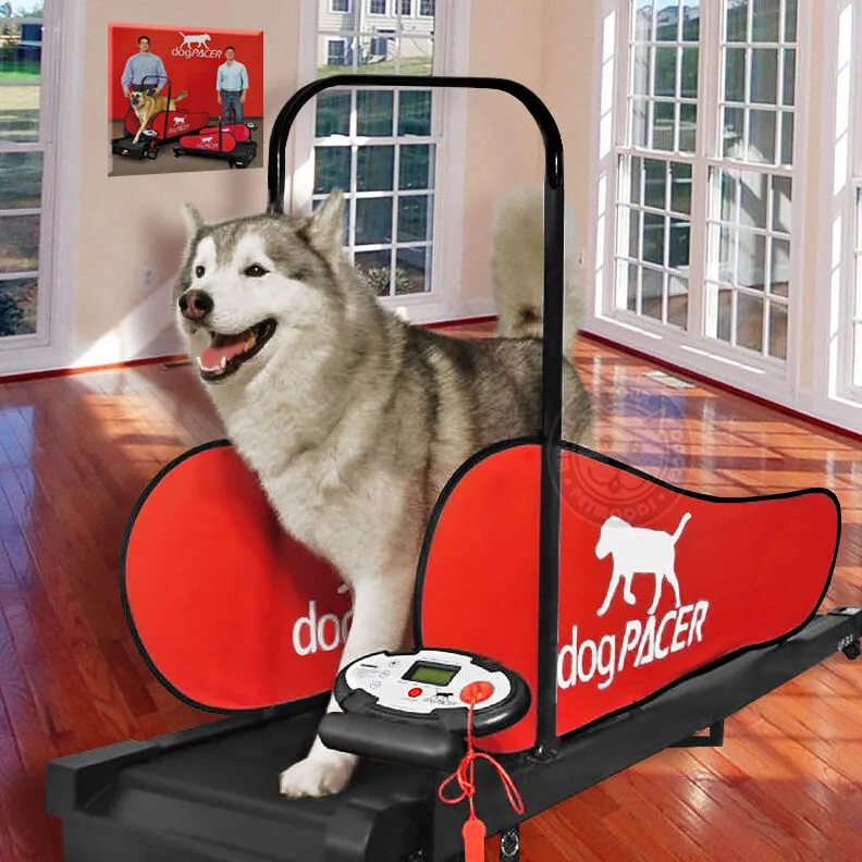 dogPACER LF 3.1 Dog Treadmill