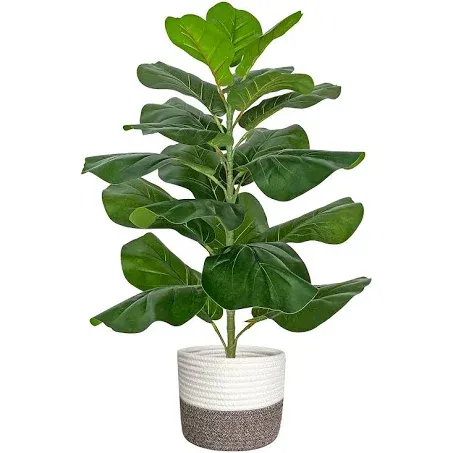 BESAMENATURE Artificial Fiddle Leaf Fig Tree/Faux Ficus Lyrata for Home Office Decoration, 30.5" Tall, with Cotton Rope Basket