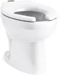 Kohler 96053-0 Wellcomme flushometer bowl, White