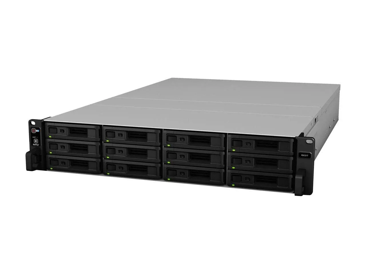 Synology RX1217 Expansion for RackStation (Diskless)