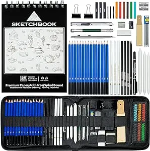 50pcs Sketching Drawing Pencils Set Art Supplies | Sketch pencils,Graphite,Charcoal,Sketch book,Drawing supplies | In Black Zipper Case | For adults,teeage, Kids 9-12