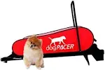 dogPACER LF 3.1 Dog Treadmill