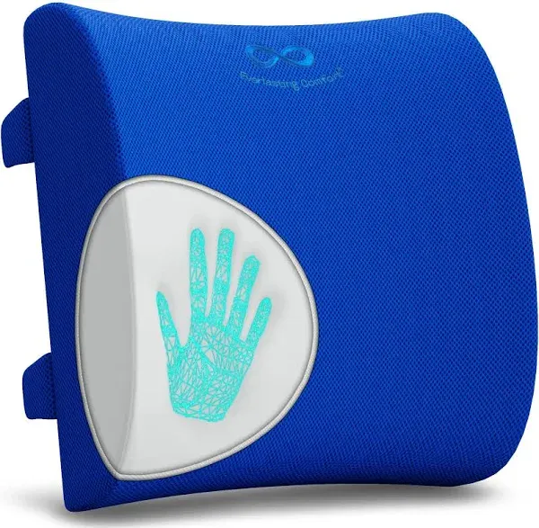 Everlasting Comfort Lumbar Support Pillow