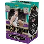 Panini Select Basketball Blaster Box