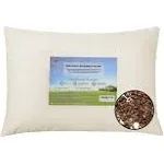 Lofe Organic Buckwheat Pillow for Sleeping - Small Travel Size(14x20) NOB