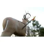 GlenDel Crossbow Buck Target