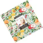 Moda Fabrics Fruit Loop - Layer Cake