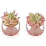 Tiita Artificial Plants Desk Fake Succulents Indoor Decor Office Room Decoration Small Tiny Realistic Plants Valentine's Day Decor