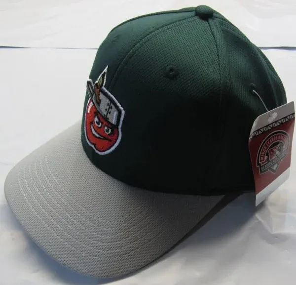 Minor League Baseball Raised Replica Hat Fort Wayne Tin Caps Style MIN 350 Adult