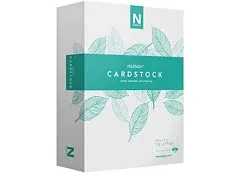 Neenah Vellum Bristol Cardstock, Lightweight, 4 Packs of 325 Sheets/1300 Sheets, 67 lb/147 gsm, 94 Brightness, 8.5" x 11" - MORE SHEETS! (91633-02)