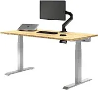 Desky Dual Bamboo Sit Stand Desk