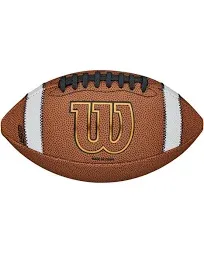 Wilson GST NCAA Leather Game Football