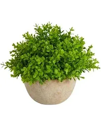 Nearly Natural 5-in Boxwood Artificial Plant in Decorative Planter