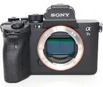 Sony Alpha a7S III Mirrorless Camera