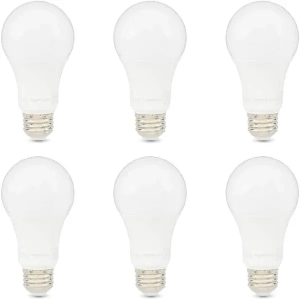 GT-Lite® 100-Watt Equivalent A19 Soft White LED Light Bulbs - 6 Pack