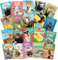 40 Funny Animal Postcards - Bulk Thinking of You Postcard Pack for Kids