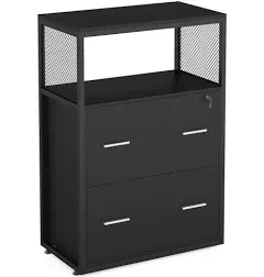 Tribesigns 2 Drawer Lateral File Cabinet