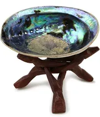 Ocean Shell Studios Premium Natural Abalone Shell with Wooden Stand