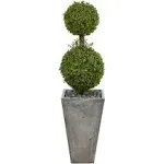 4ft. Double Boxwood Topiary Tree in Cement Planter