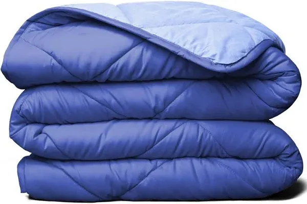 Microfiber Down Alternative Quilted Comforter