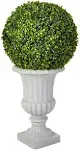 2.5ft. Boxwood Topiary Tree with Urn