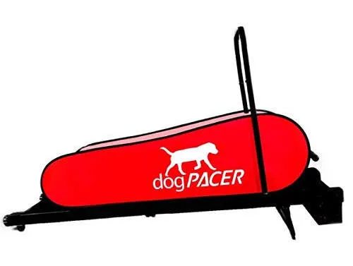 dogPACER LF 3.1 Dog Treadmill