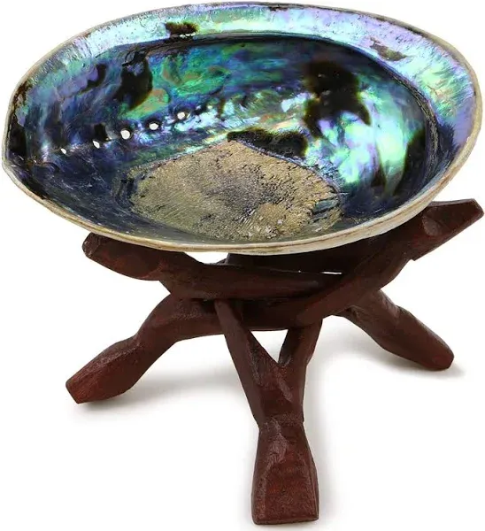 Ocean Shell Studios Premium Natural Abalone Shell with Wooden Stand