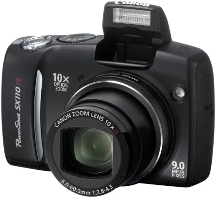 Canon PowerShot SX110 IS Digital Camera (Silver)