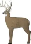 GlenDel Crossbow Buck Target